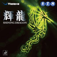 輝龍